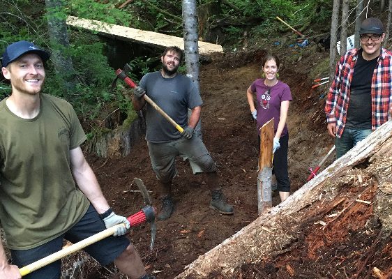 McElhanney trail building night