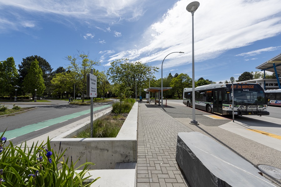 A bus loop, featuring a median of plants in modern, concrete planters.