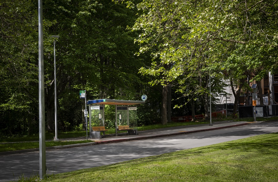 A bus shelter in a heavily treed area